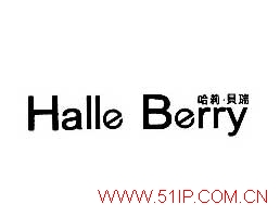 ������HALLE BERRY